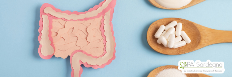 Fermenti lattici: quali sono i migliori e come assumerli